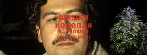ГАЛЛЮЦИНОГЕННЫЕ ГРИБЫ Куйбышев