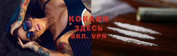 mdpv Краснослободск