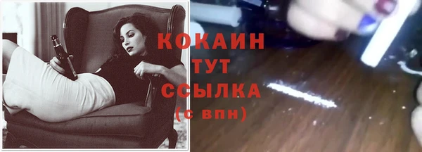 соль ск Лагань
