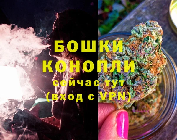 соль ск Лагань