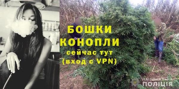 ГАЛЛЮЦИНОГЕННЫЕ ГРИБЫ Ладушкин