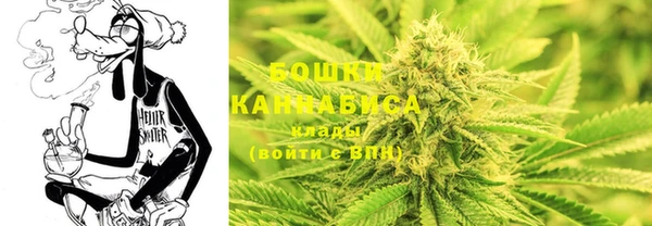 mdpv Краснослободск