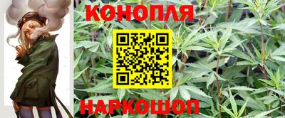 шишки Апшеронск