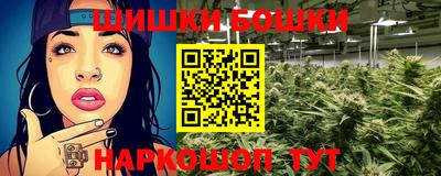 шишки Апшеронск