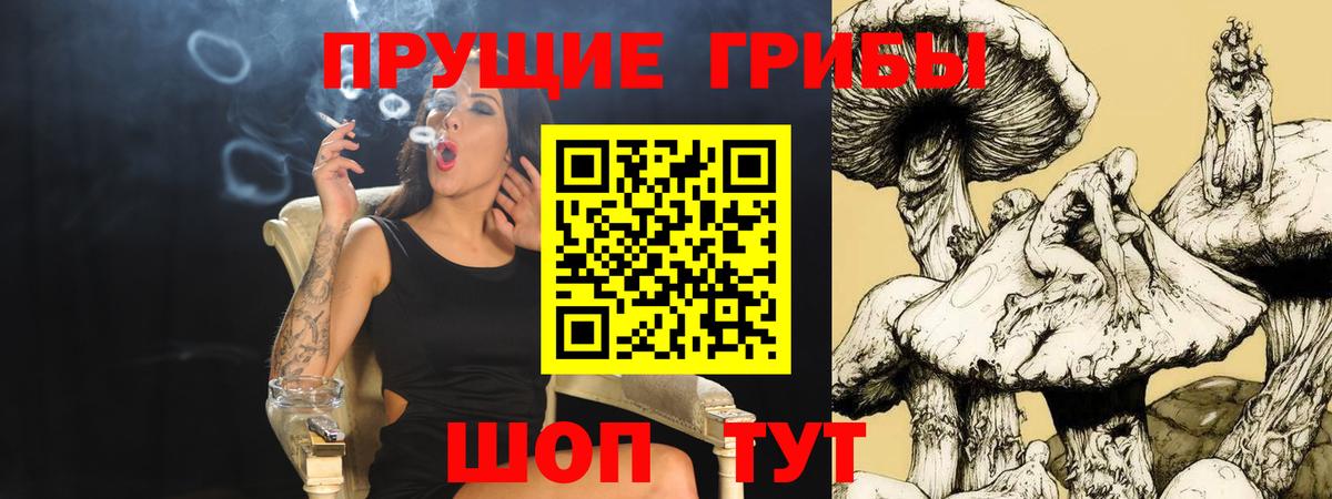 наркота  Вход с VPN  Брянск  Псилоцибиновые грибы прущие грибы 