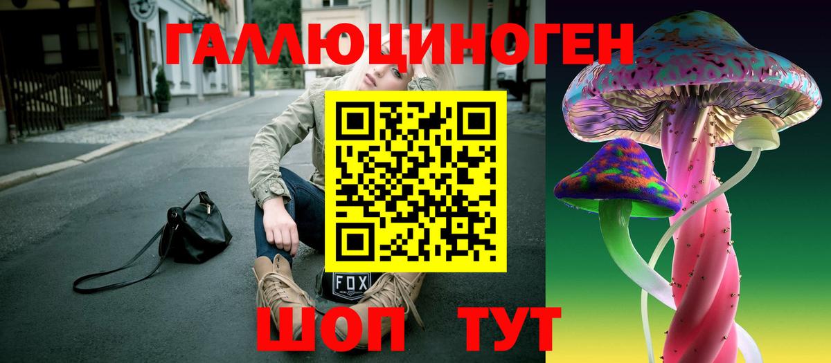 Галлюциногенные грибы Psilocybe Брянск